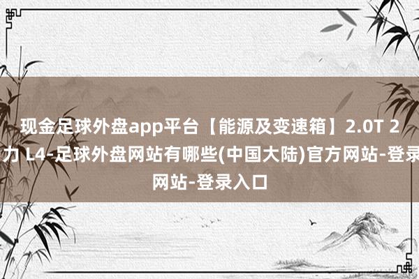 现金足球外盘app平台【能源及变速箱】2.0T 237马力 L4-足球外盘网站有哪些(中国大陆)官方网站-登录入口