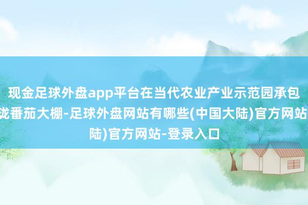现金足球外盘app平台在当代农业产业示范园承包了两个玲珑番茄大棚-足球外盘网站有哪些(中国大陆)官方网站-登录入口