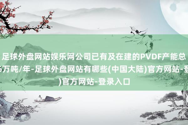 足球外盘网站娱乐网公司已有及在建的PVDF产能总共为1.6万吨/年-足球外盘网站有哪些(中国大陆)官方网站-登录入口